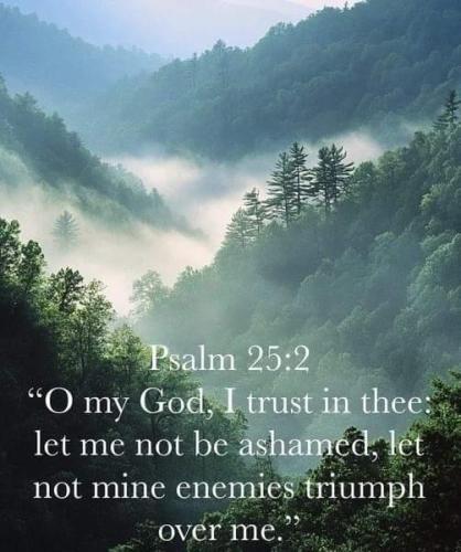 8ec3ef31-03fc-4766-bd7b-b90fb6a690c4