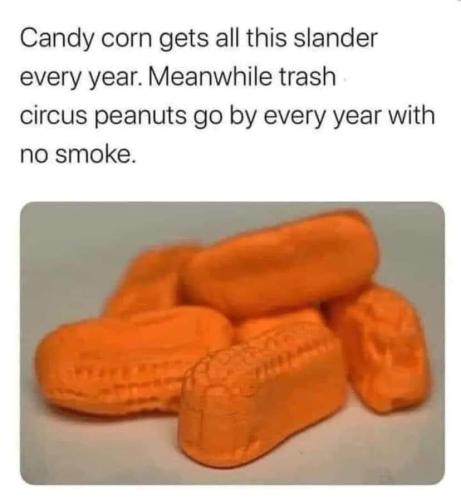 image_2065518F-FBD4-468F-98BE-55E2DCD12488