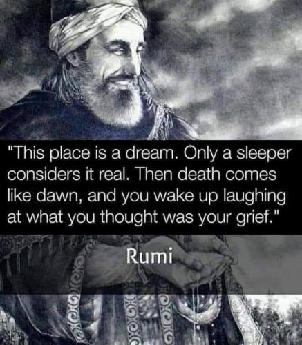 ,     ,       328341859_88451847936