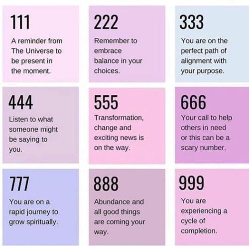 462511478_8881887108508343_7958491613670579096_n