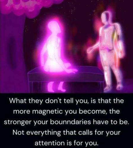464319941_2016566322105153_2027394584406903_n