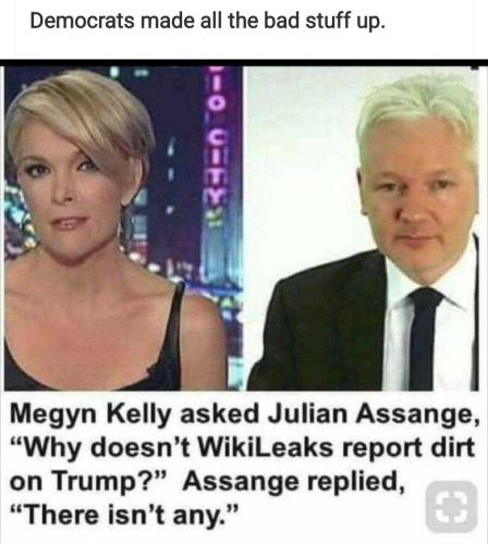 wikileaks