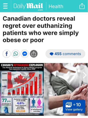 photo_2024-10-28_12-37-10