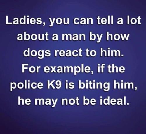 48820e42336189b11a5df0f96d86d203