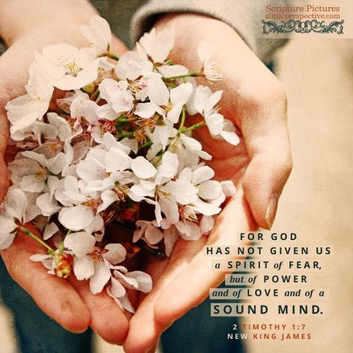 2-tim-1-7-NKJV-unsplash