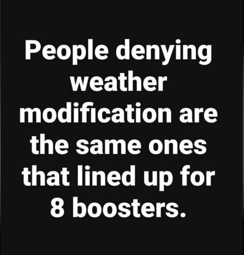 IMG_20241011_125206_495