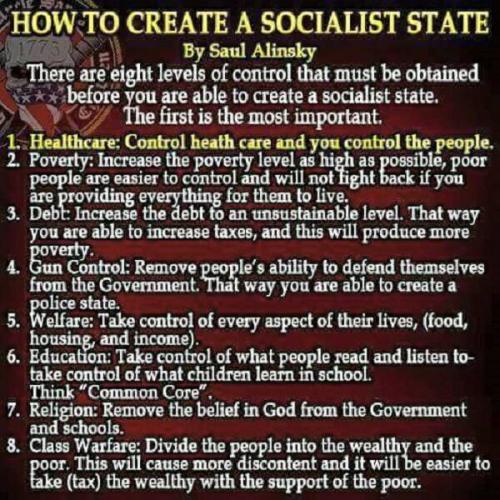 SAUL ALISNKSY CHAOS AND CONFUSION