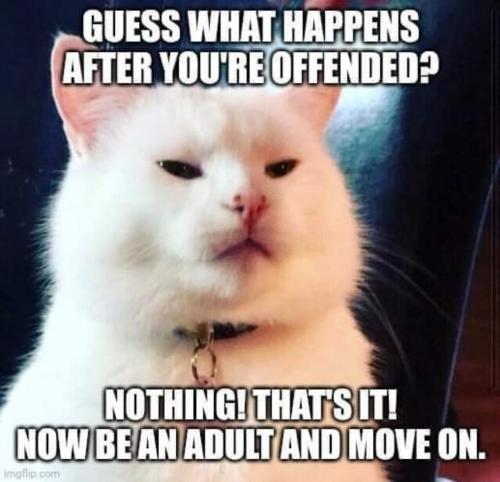 image_99E59E92-0582-42AA-83B7-8B8863294F9B