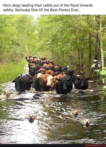 bb23732fc85a108366755f5e6a6d8b9db496309f18a80db4e263fcf838bea6b1_1