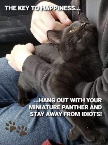 e8b0342f13f252e2e8e52e242618215d