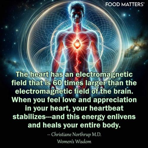 FB_IMG_1730411366966