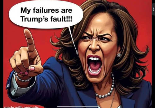 image_2024-10-20_085515817