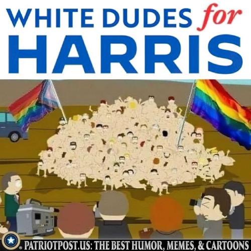 01JAK7S94RN03H9QNSD4C1PMZH