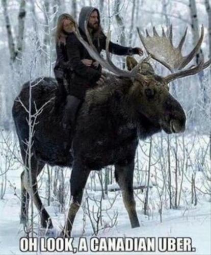 image_1D0B76FF-167D-4383-A03E-371272F82697