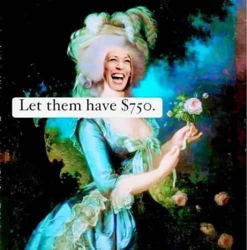 xephula_7a292679764774ef68edd0bb9d5b989c