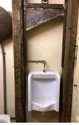 FB_IMG_1729882704805