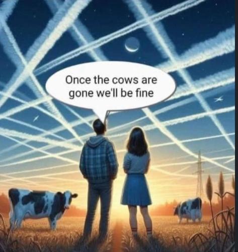 photo_2024-10-09_00-21-59