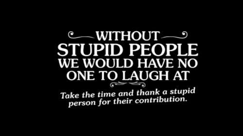 Without stupid people.960px