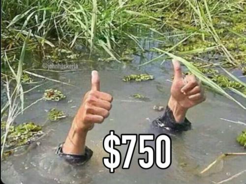 photo_2024-10-06_19-16-44