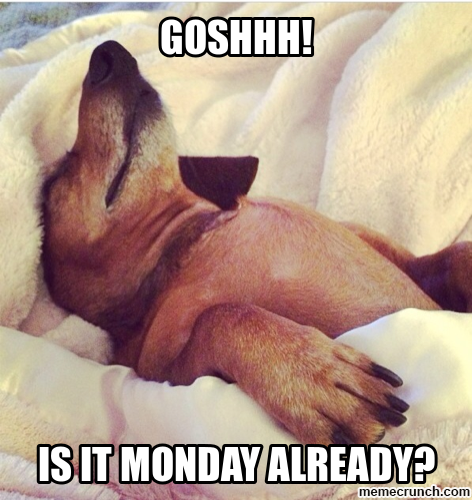 50b050771b5e8ebc8cd14ae6e045f077