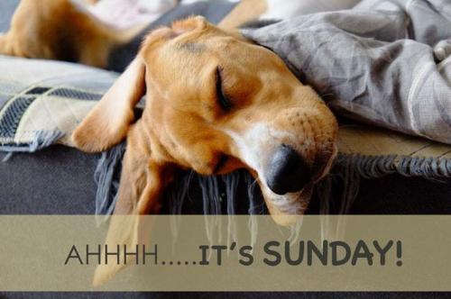 0953bd597070a82b211cddb512436464