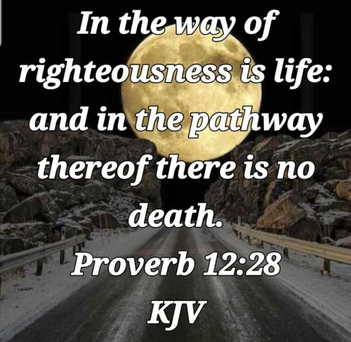 30d552f8-ebfb-41b6-8ddd-e6990f715fcc