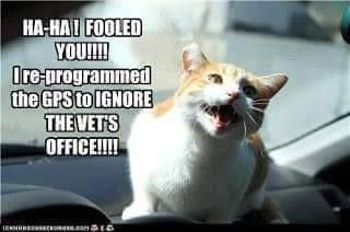 7de127431ef7fabb5aa0b13a641e8701