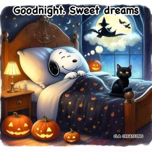 FB_IMG_1728861208689