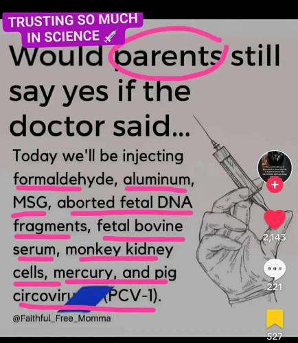 461299140_511387291634027_8067137392753882754_n