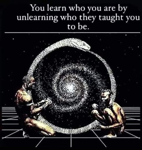 462143487_3919717831641717_3752529918545086568_n