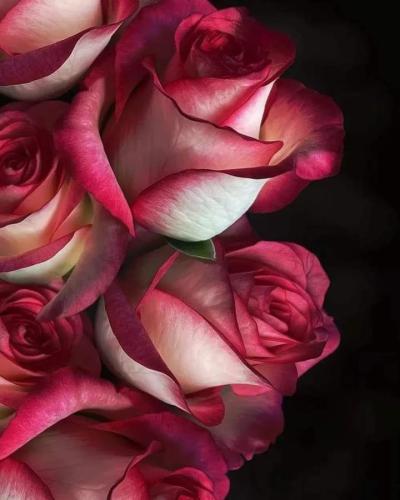 FB_IMG_1729430329250