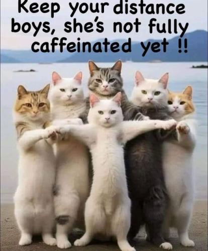 461459494_122175098042160910_1423587573318449729_n