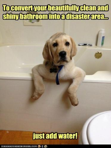 or-you-could-take-the-cute-photo-and-walk-quietly-away