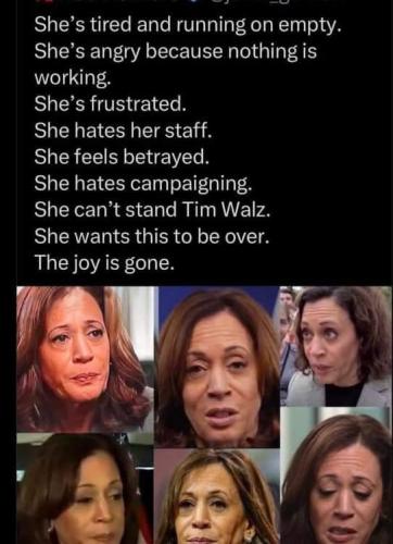 88635b59-89c0-40b3-85b0-5e6b5738f636