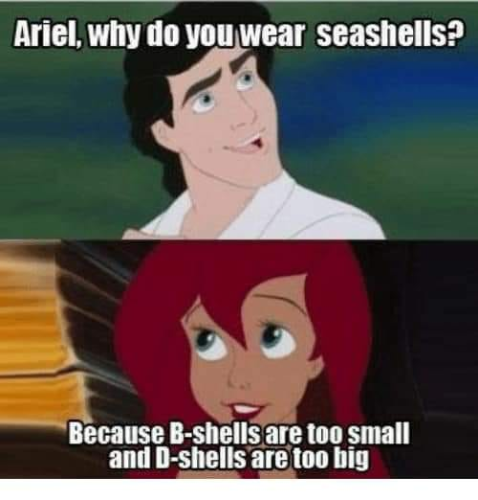 ariel