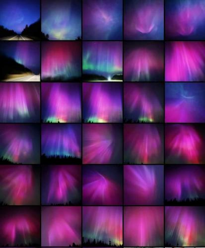 85f59c77-db09-40f9-91b6-2c9ea8196b7d