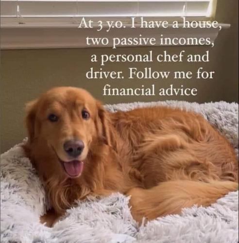 236113a65fc267e161df455bf1185fd4