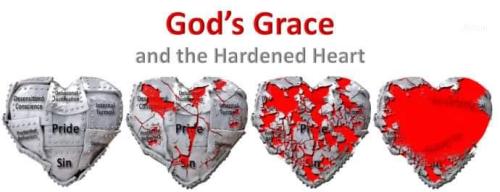 b1bb32cb-c8fb-484b-9d05-c782095b009e