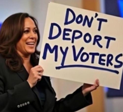 deport kamalas voters