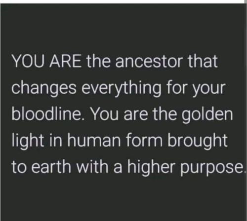 462672902_545833588131446_3609232029652256054_n