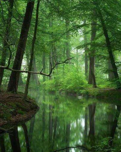 ,                             ,     ,