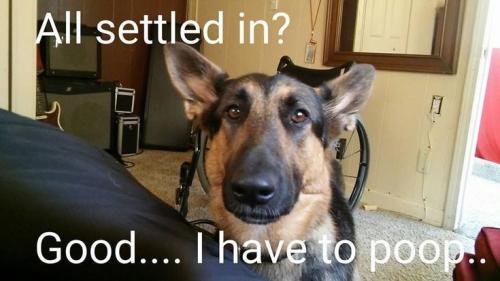 d863d6ddd49e2d4e4e4c623aa99b12ee