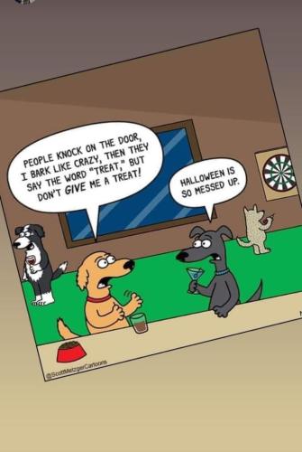 3968592b-d66a-42c0-be0c-f75a1a4589ec