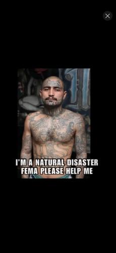 Screenshot_20241007_173405_YouTube