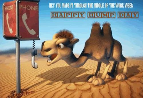 1-Hump Day