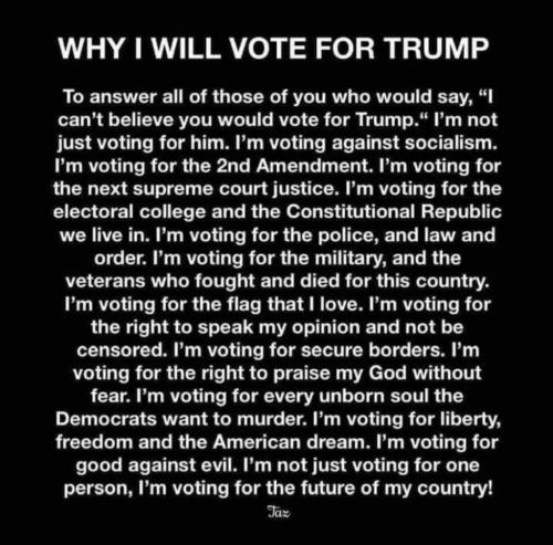 why vote trump wim
