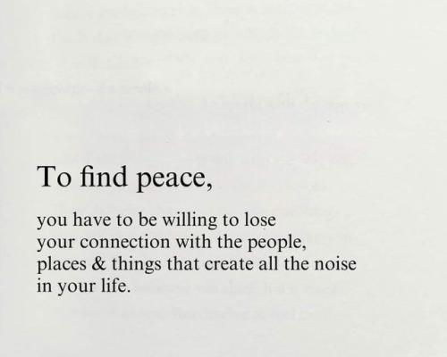 461688007_542043638334340_210125797292271490_n