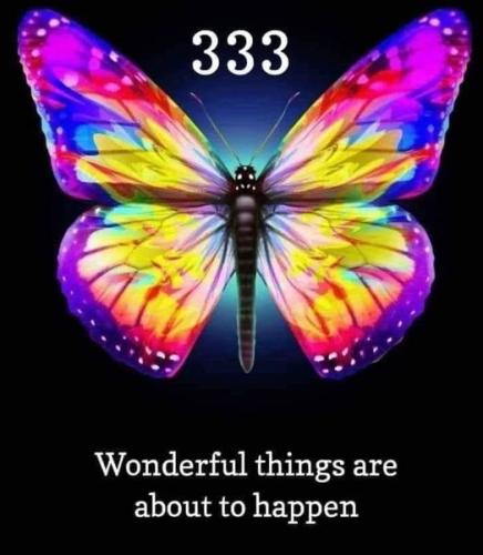 464680023_8948812908495773_3797727984855366422_n