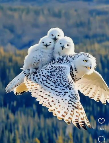 ,     ,     0 422263412_34196972870