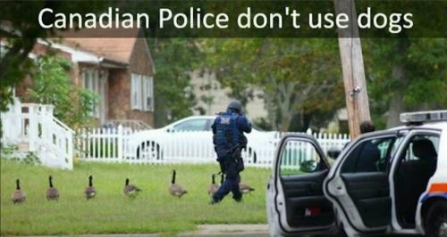 canadian police